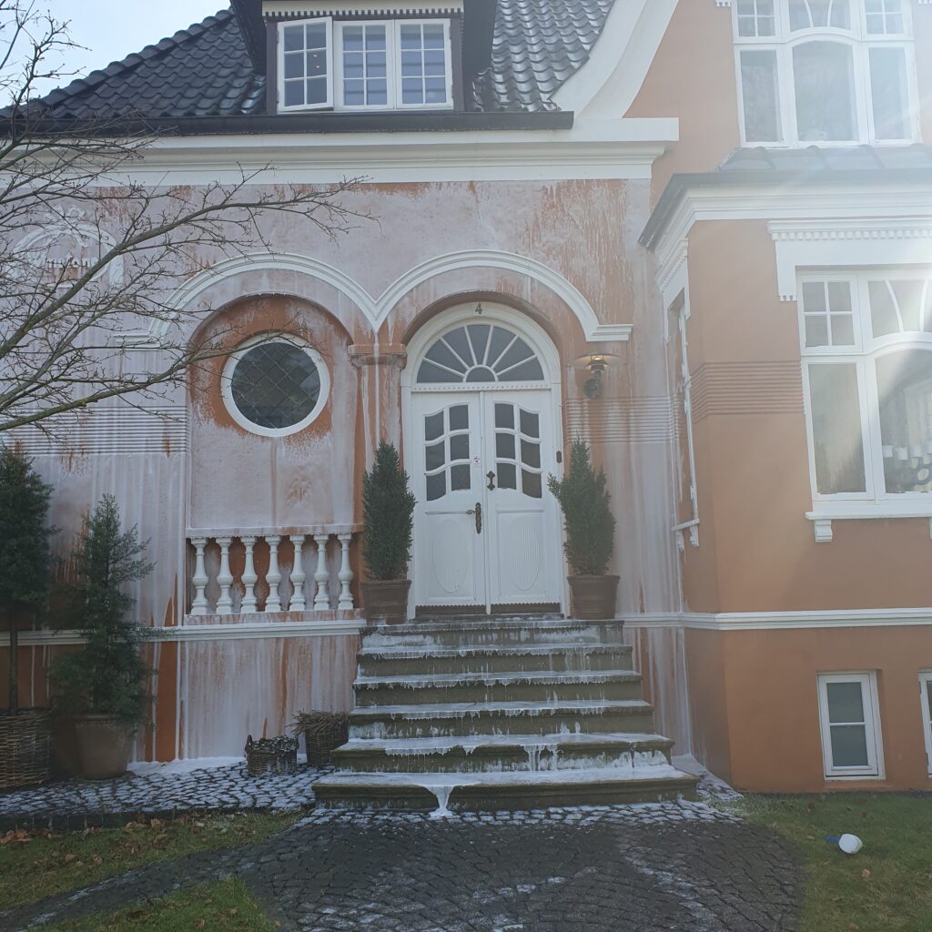 Effektiv algebehandling og facaderens – Thisted, Odense og Fyn